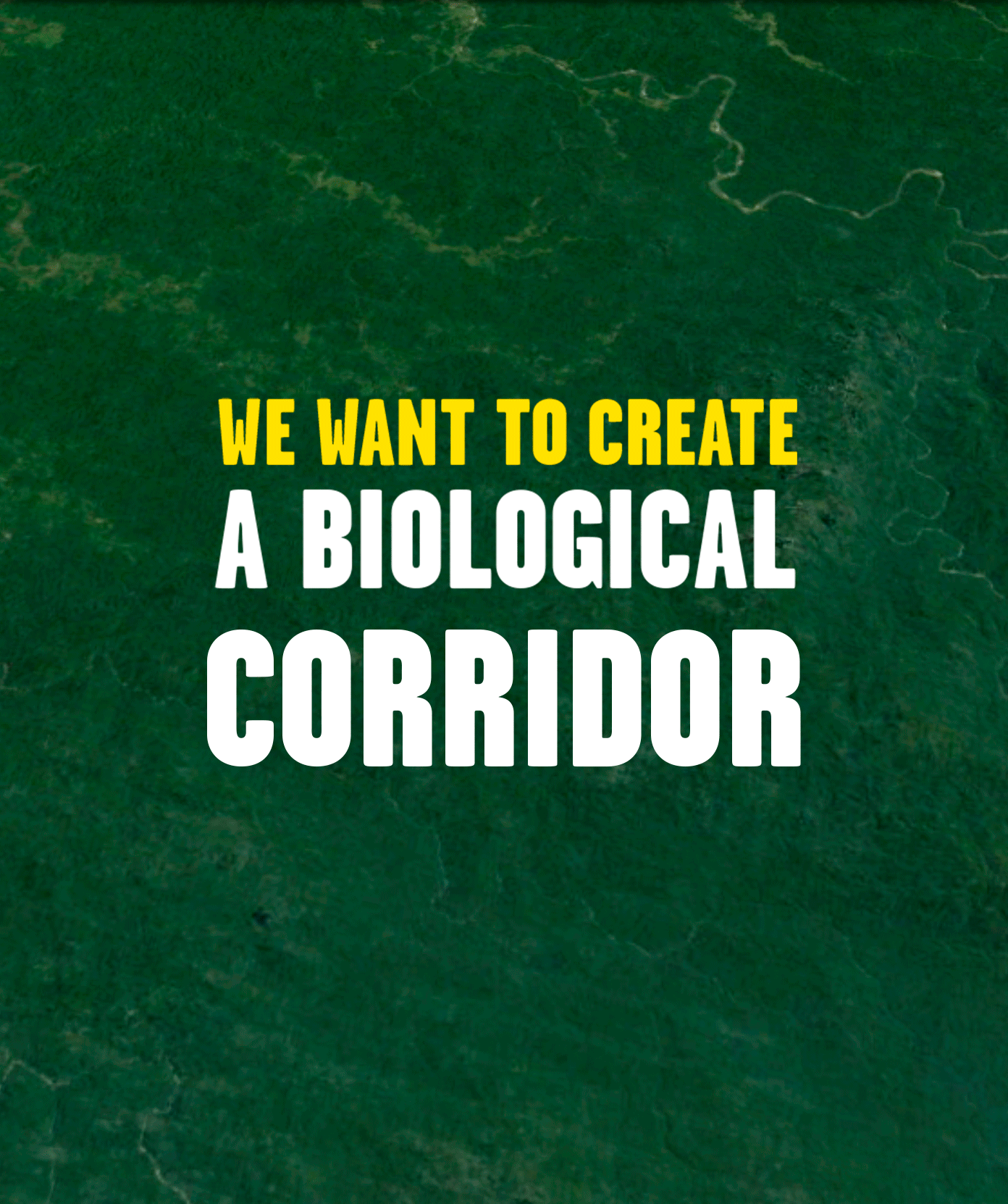 Help us save the Chocó