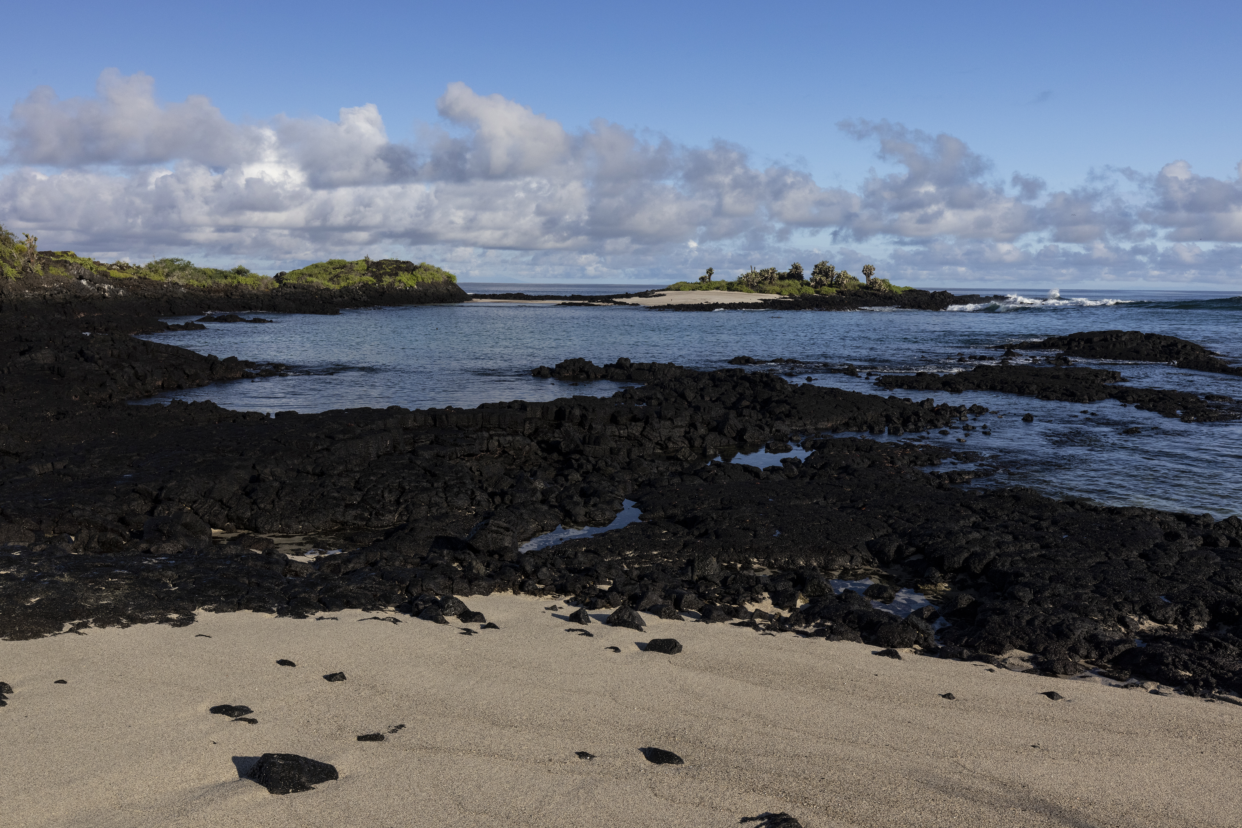 Debt swap for the Galapagos Islands conservation