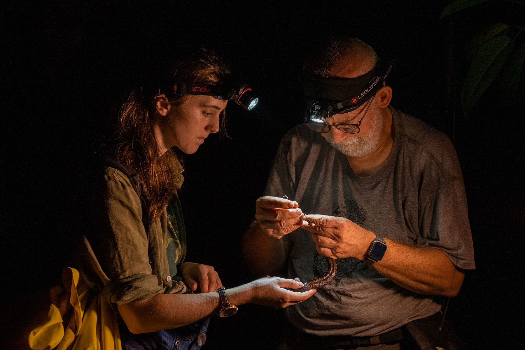 The Recovery of The Chocó: A Network of Interactions Renewing Hope